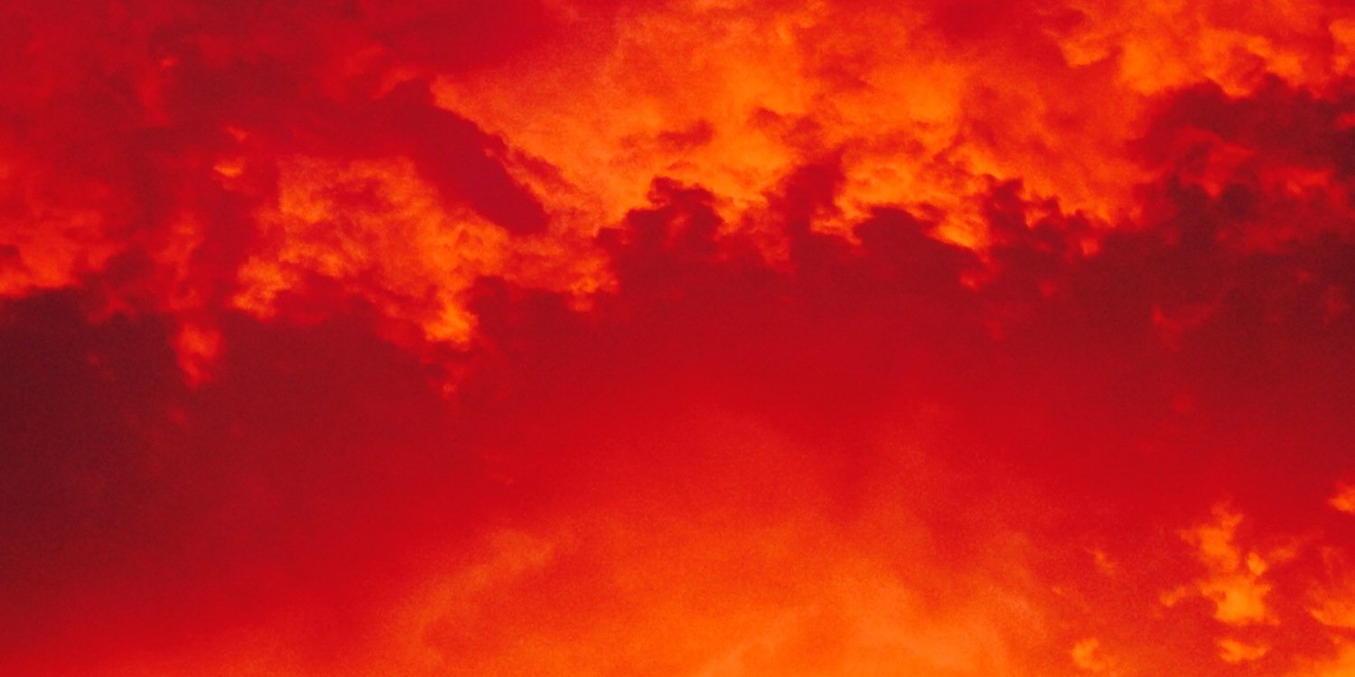 horsesncows's profile banner image