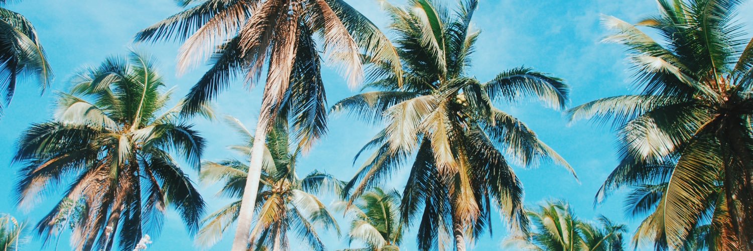 chootstogo's profile banner image