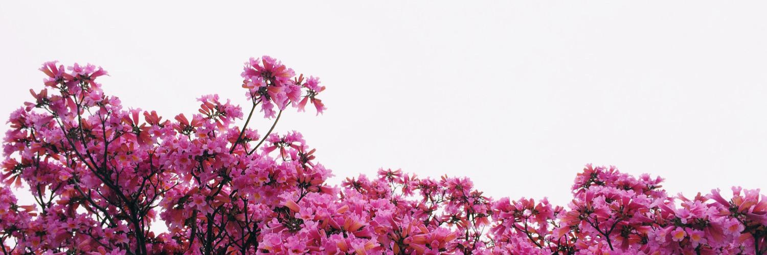 amborgatron's profile banner image