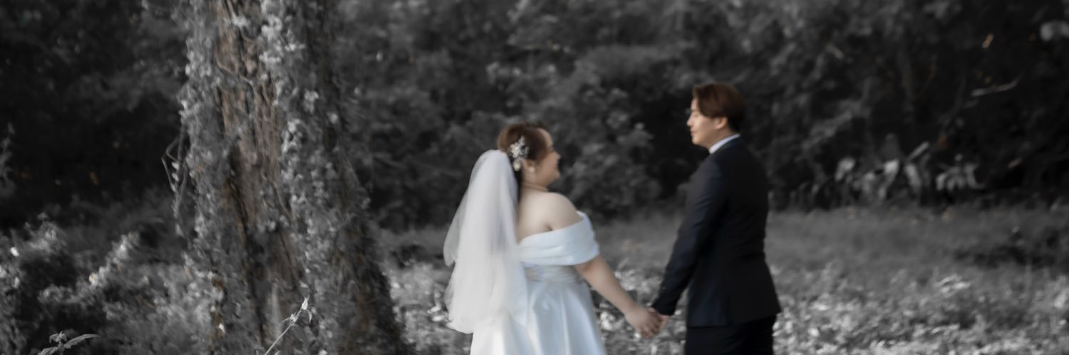 shelineolvy's profile banner image