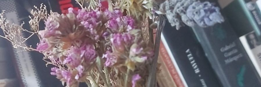 Maria Vigo Rocca banner