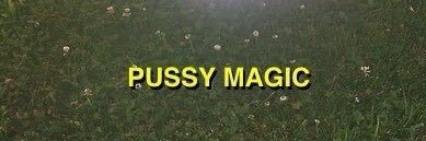 _budskii's profile banner image