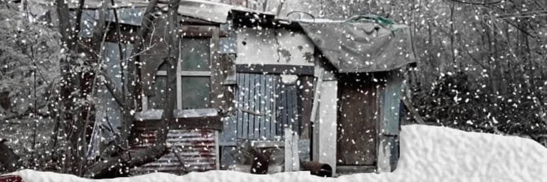 Adam Wilsonhausen 🇨🇦 banner