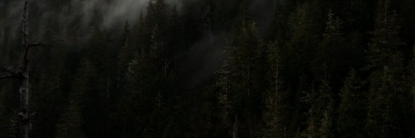 doesare Profile Banner