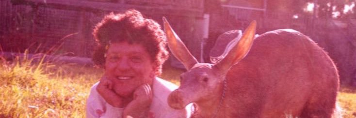 casey_dillas's profile banner image