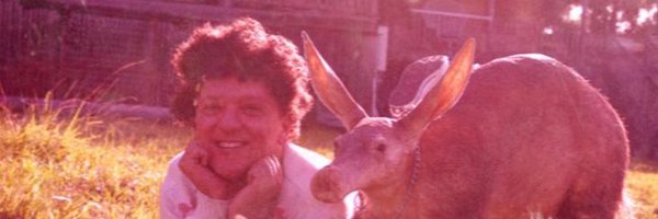casey_dillas Profile Banner