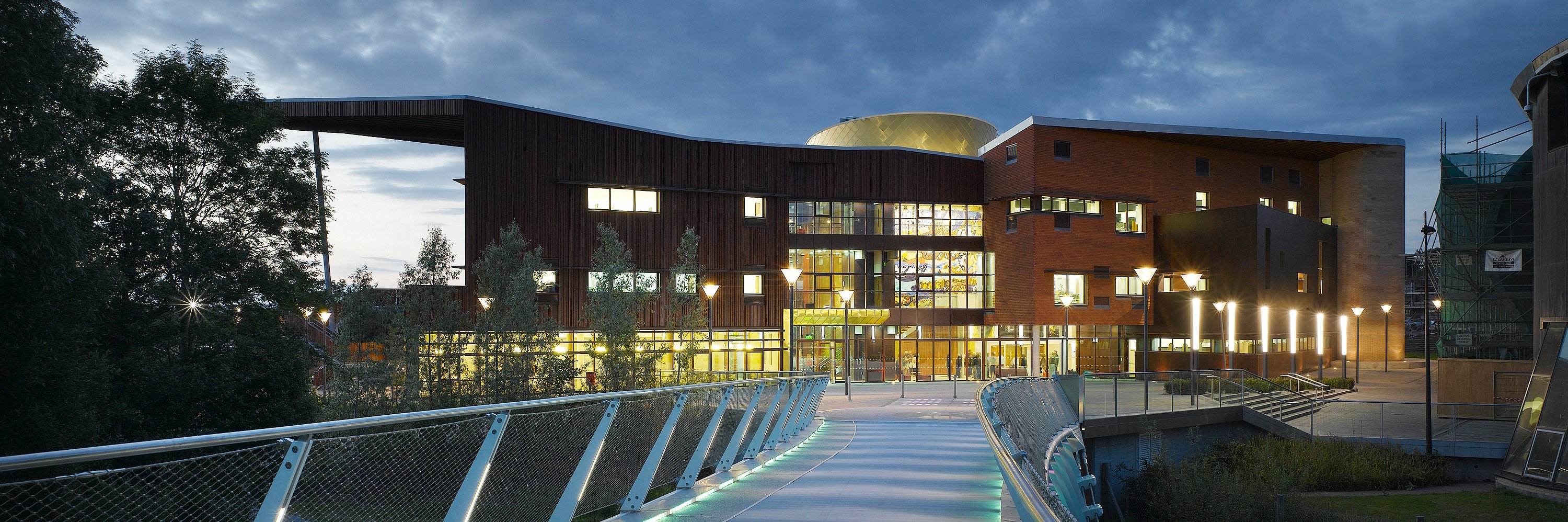 Irish World Academy banner