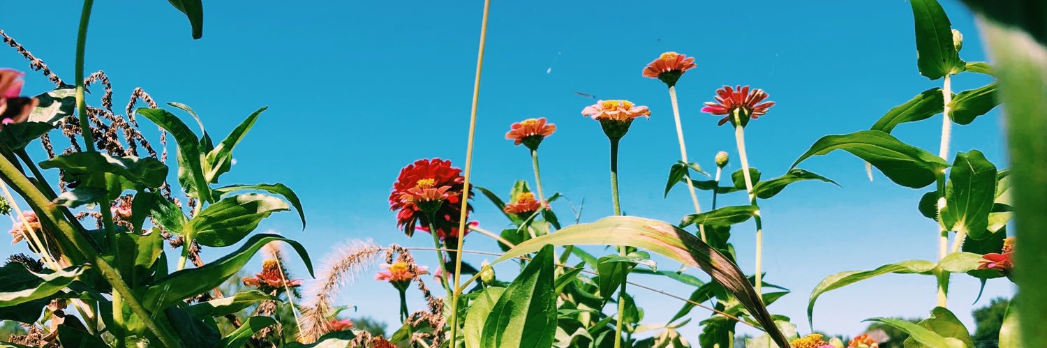 emmamday's profile banner image