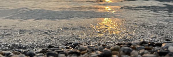 delaneym_12 Profile Banner