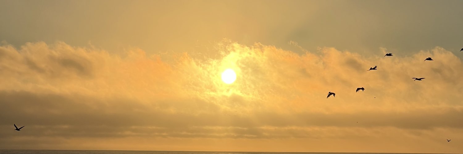 xanbanjerr's profile banner image