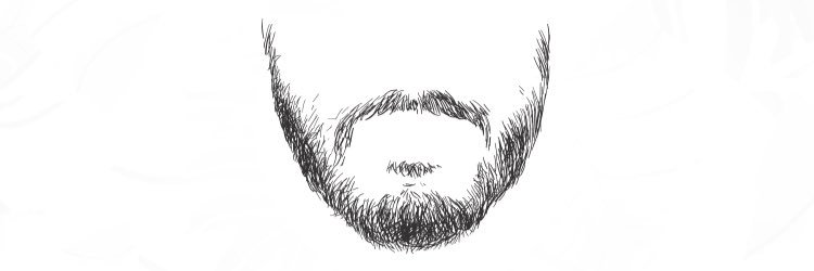 zavalamilo's profile banner image