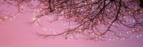 yesicaferz's profile banner image
