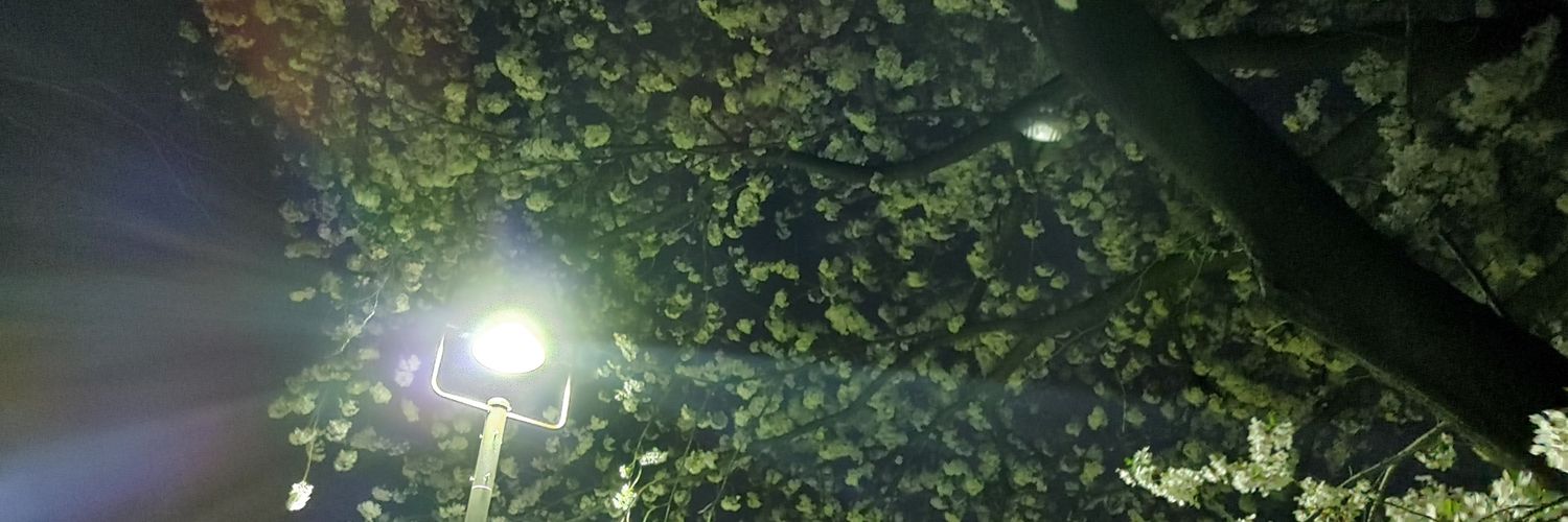 あずみん's banner