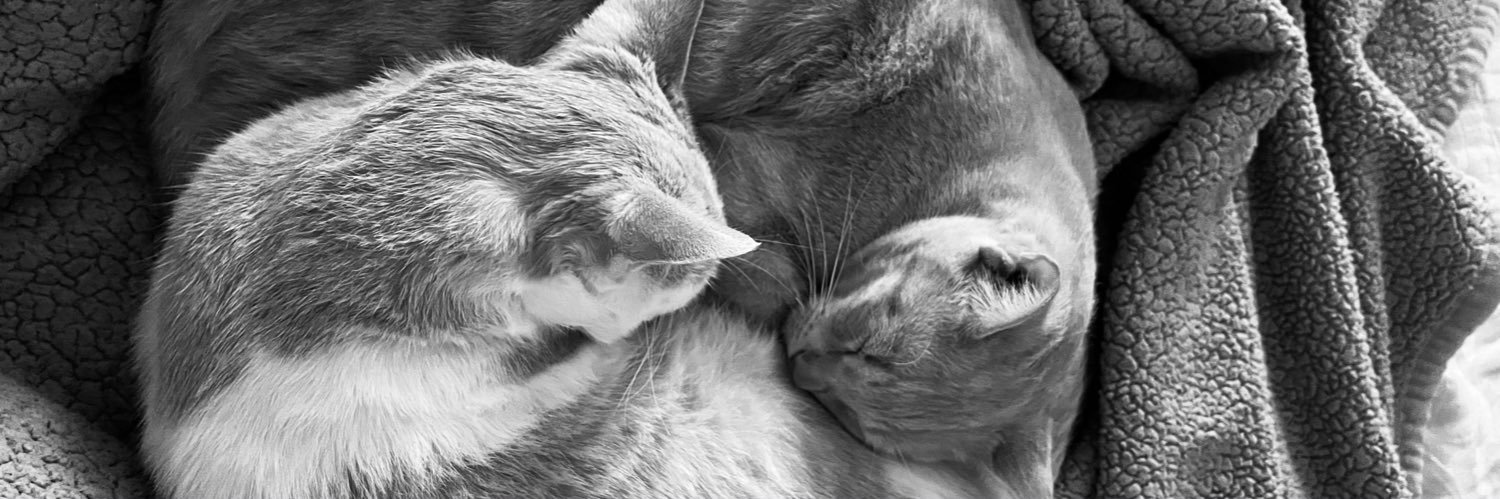 andrearivvv's profile banner image