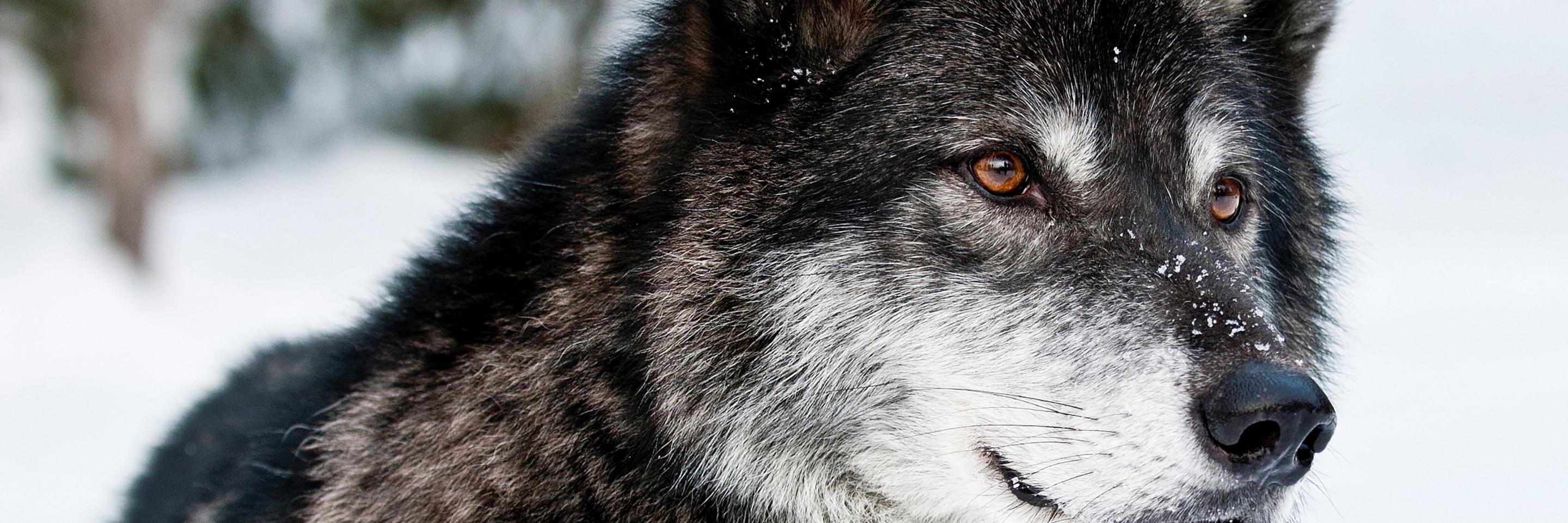 MadeMyself_'s profile banner image