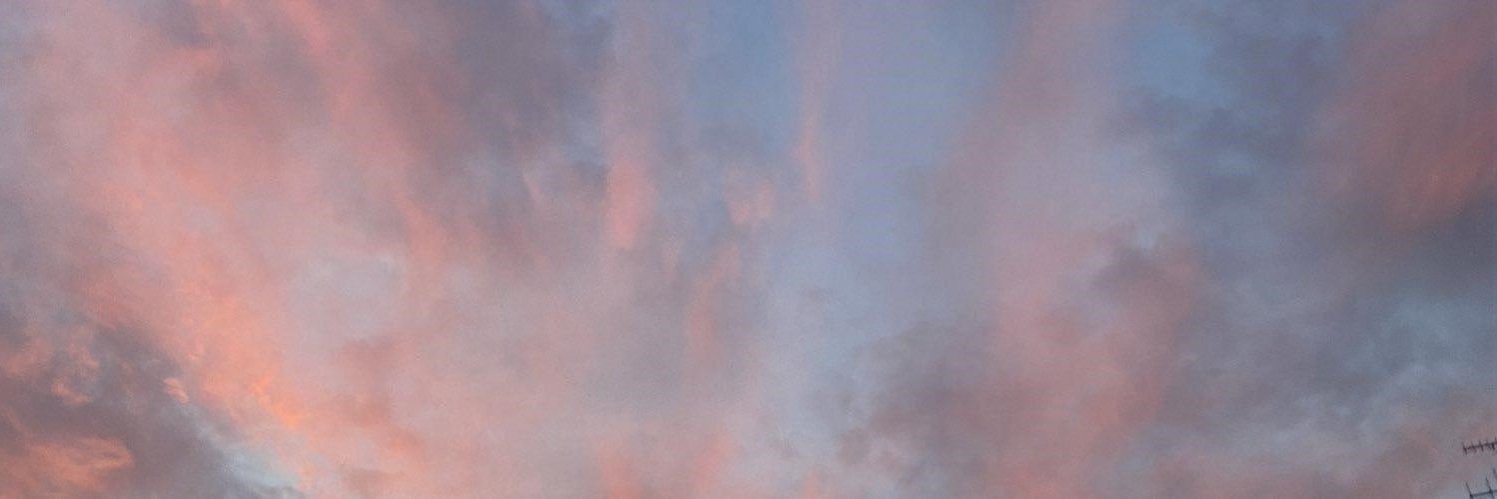 CarolSmith33161's profile banner image
