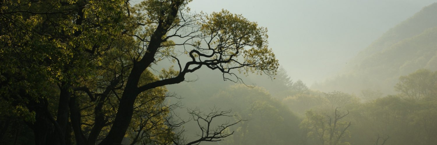 Mindfulnessatwk's profile banner image