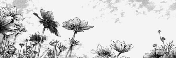 aimhegenbana's profile banner image