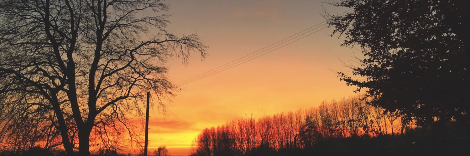 ellyjbanks's profile banner image