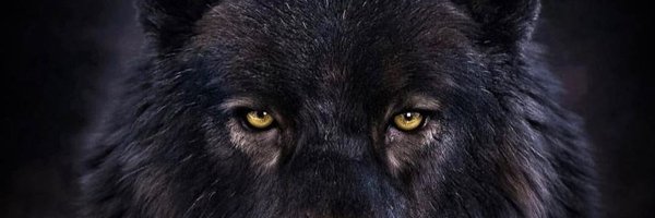K3VRuN Profile Banner