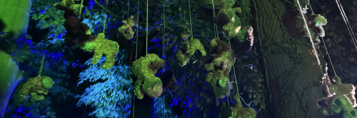 carter 🎢👻 banner