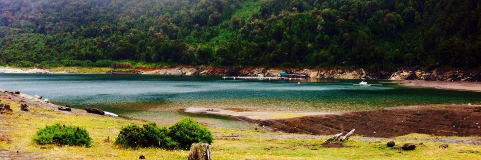 FernandaAraya_'s profile banner image