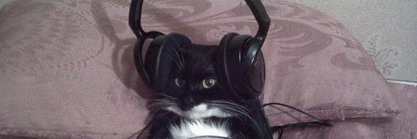 Wriswup's profile banner image
