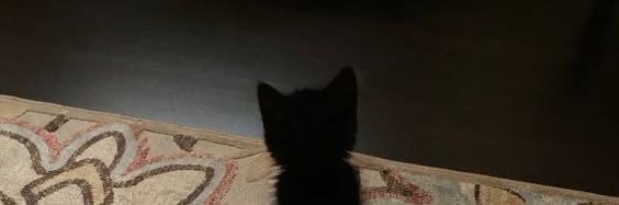. banner