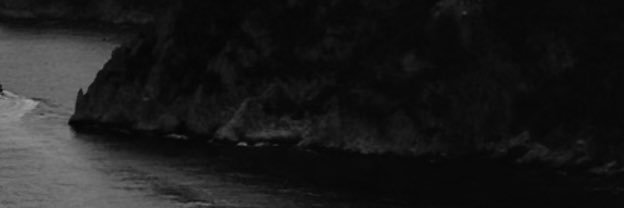 Will banner
