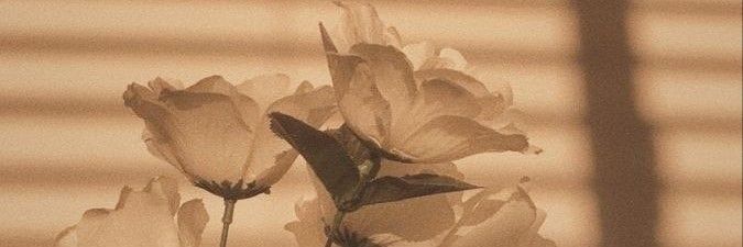 𝒜𝓂𝒶𝓇𝒶 banner