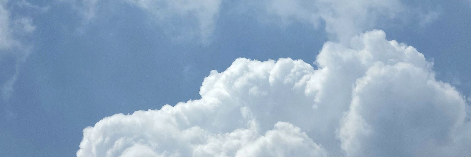 baebae0__0's profile banner image