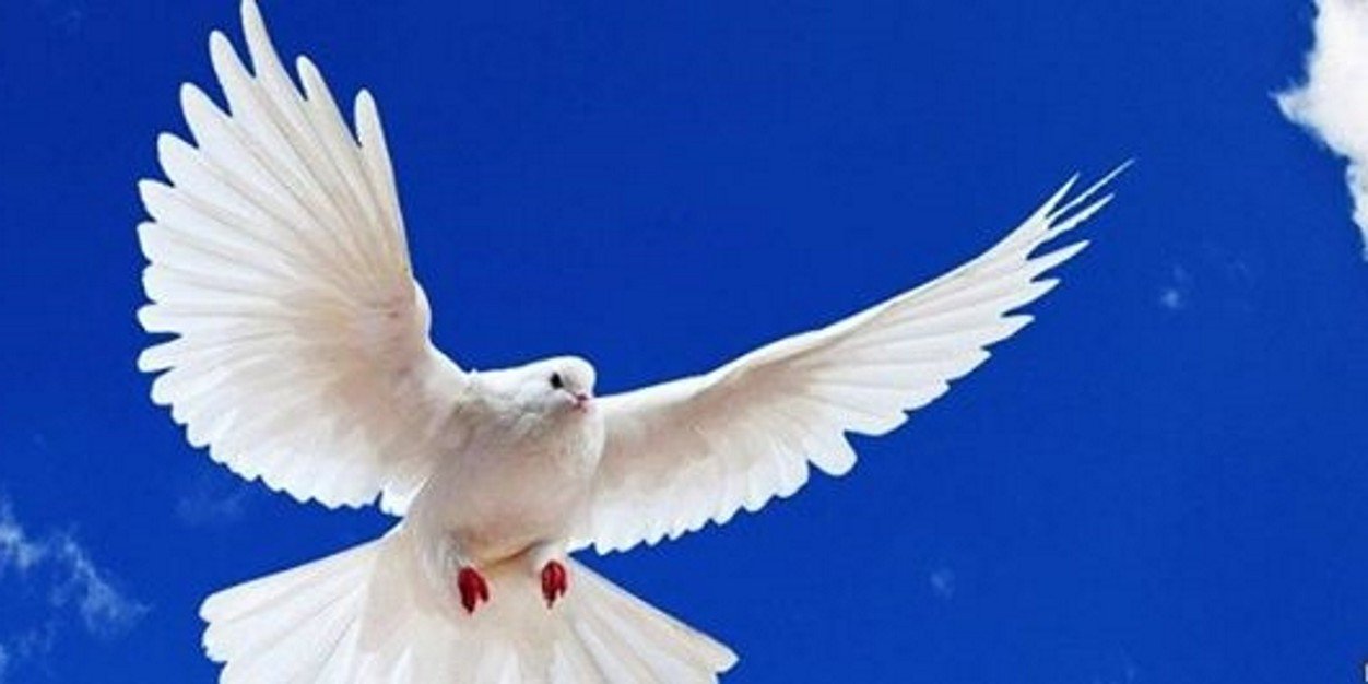 Juhant777's profile banner image