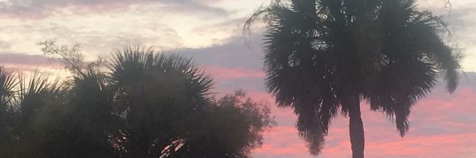 edgreenleaf's profile banner image