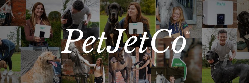 PETJETCO's profile banner image