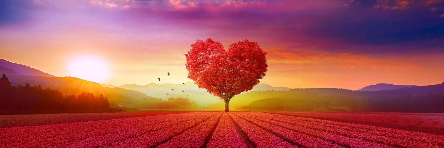 Gode Intensjoner banner