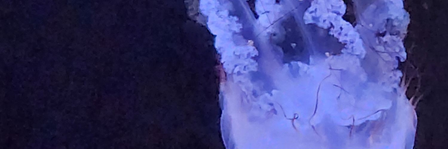 Thorn_zip's profile banner image