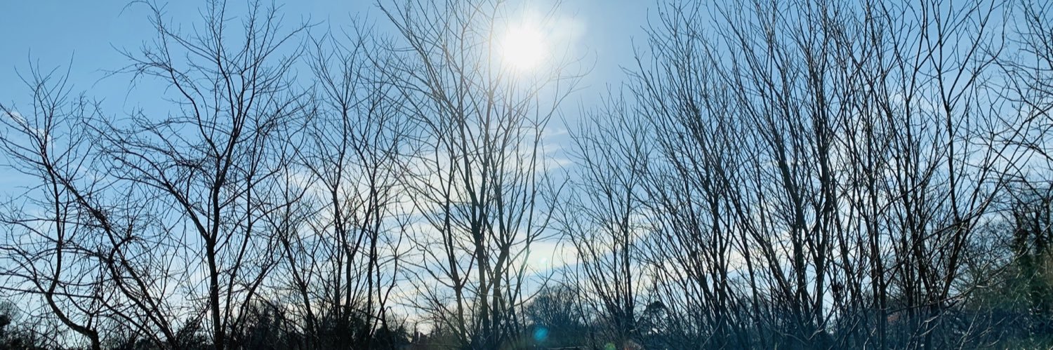 Romano Montes banner
