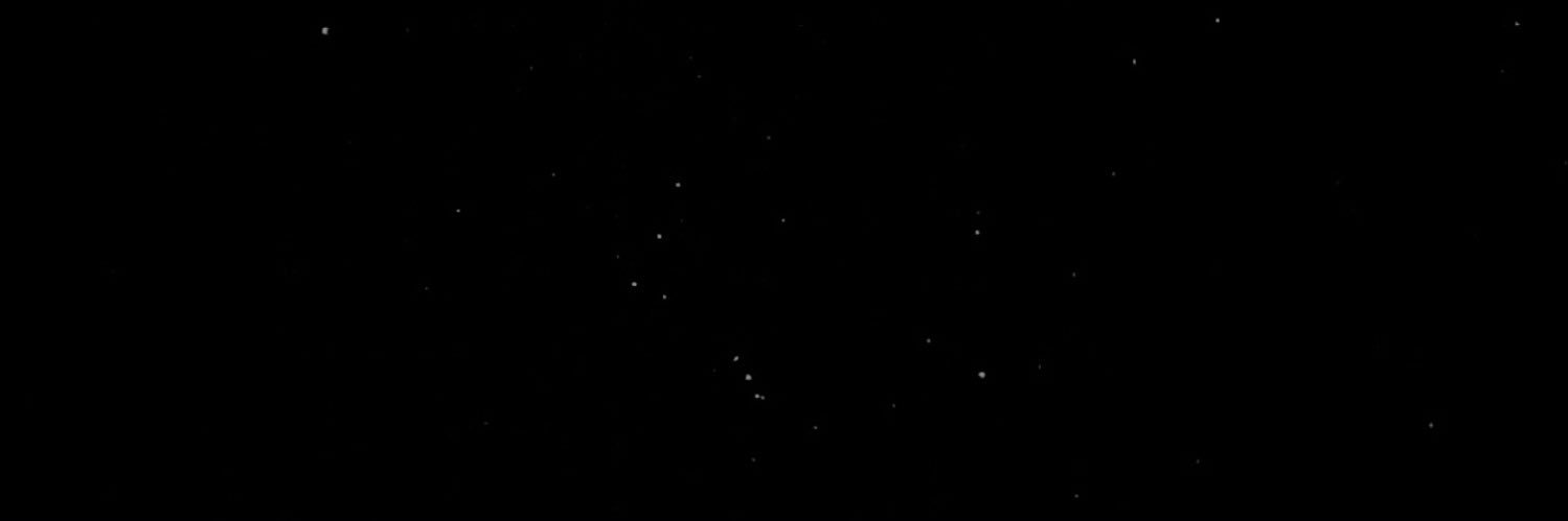 FAC2's profile banner image