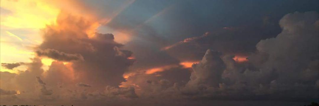 EmbryonicGenXer's profile banner image
