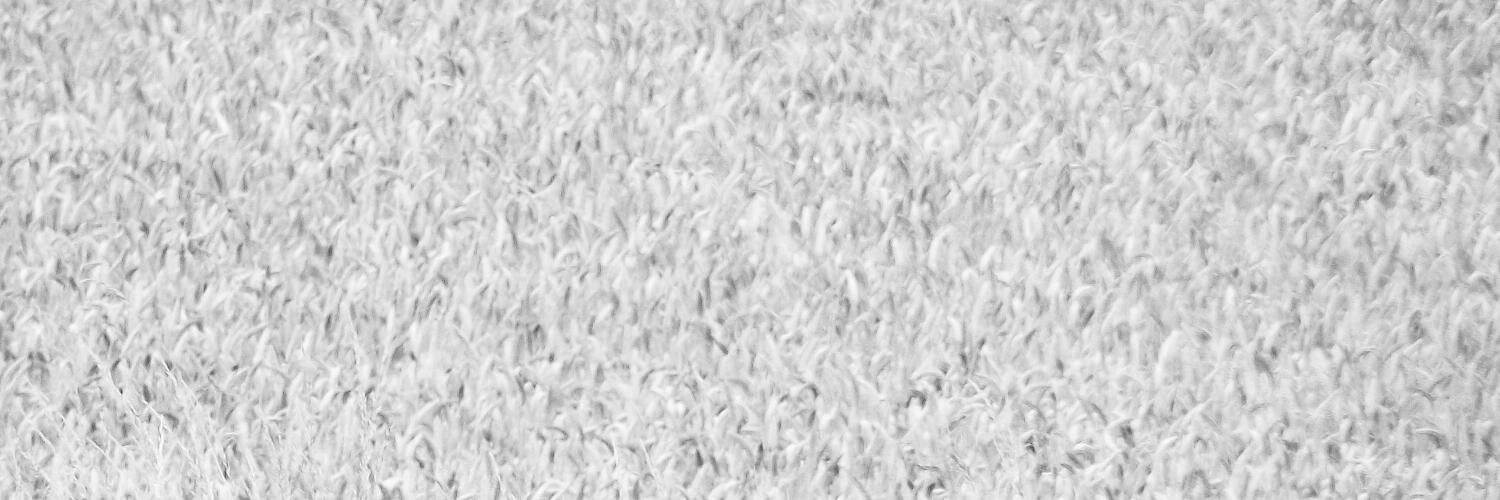 quoth_'s profile banner image