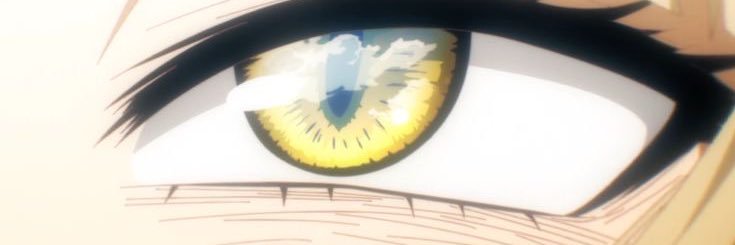toby banner