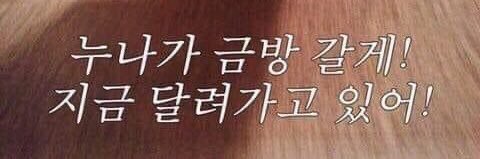 구일총공계 banner