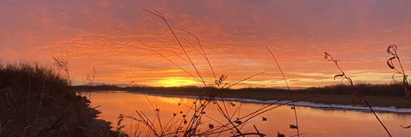 akmcc5564 Profile Banner