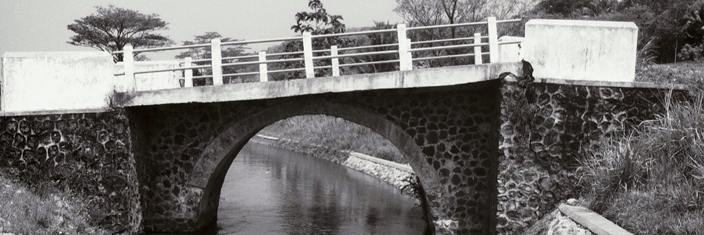 NyonkSandy's profile banner image