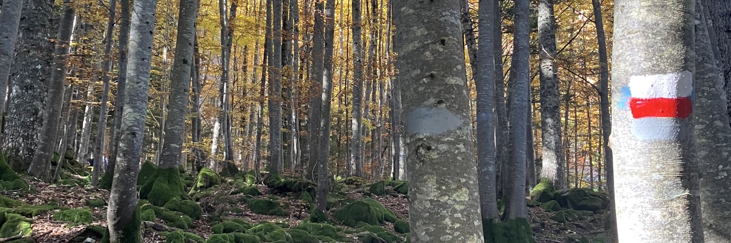 Macmo81's profile banner image