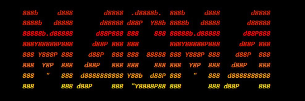 PHUNKZY 🐷🟪 banner