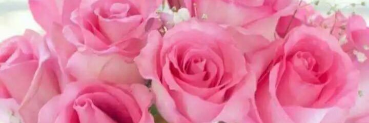 loormoor's profile banner image