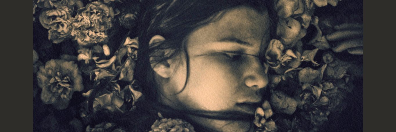 Molly McCully Brown banner