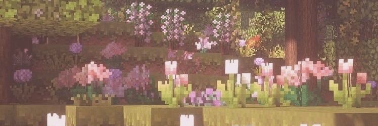 bella ⚢'s banner