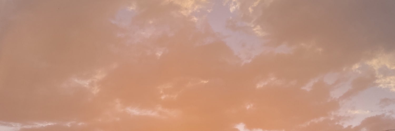 LOO0SER's profile banner image